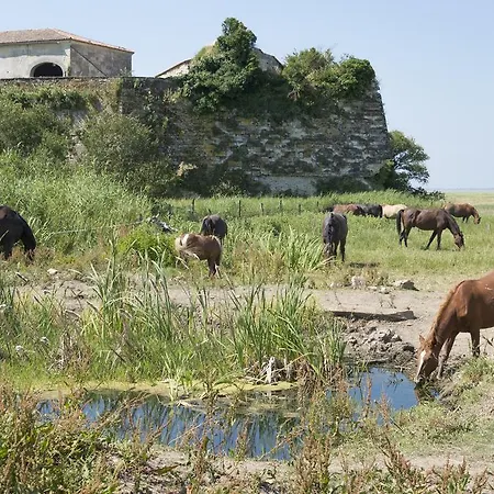 Demeure D'alienor Сasa de vacaciones *