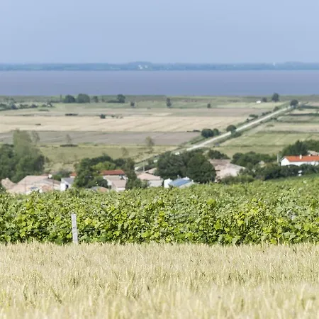 Сasa de vacaciones Demeure D'alienor Saint-Thomas-de-Cônac