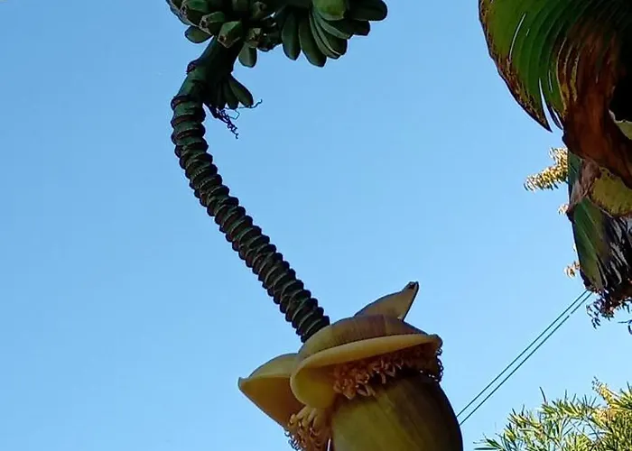 Demeure D'alienor Σπίτι διακοπών