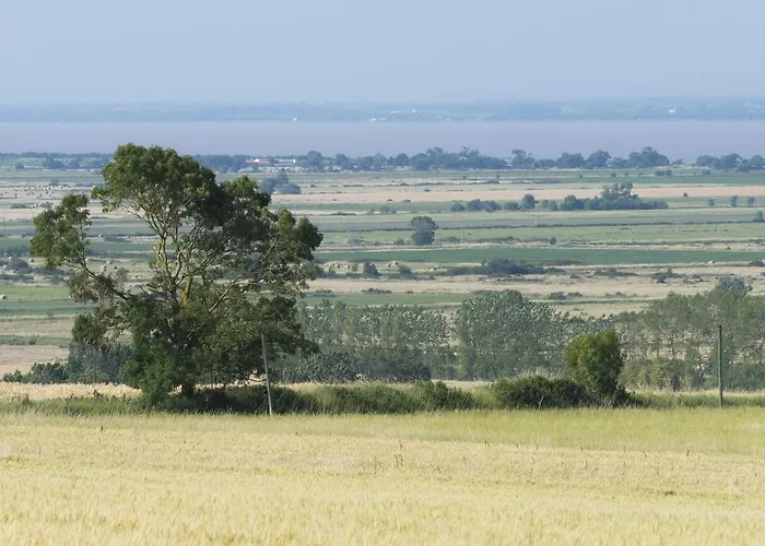 Σπίτι διακοπών Demeure D'alienor *