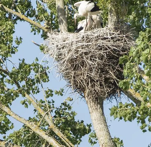 Σπίτι διακοπών Demeure D'alienor *