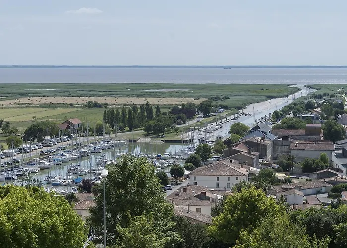 Demeure D'alienor Σπίτι διακοπών Saint-Thomas-de-Cônac